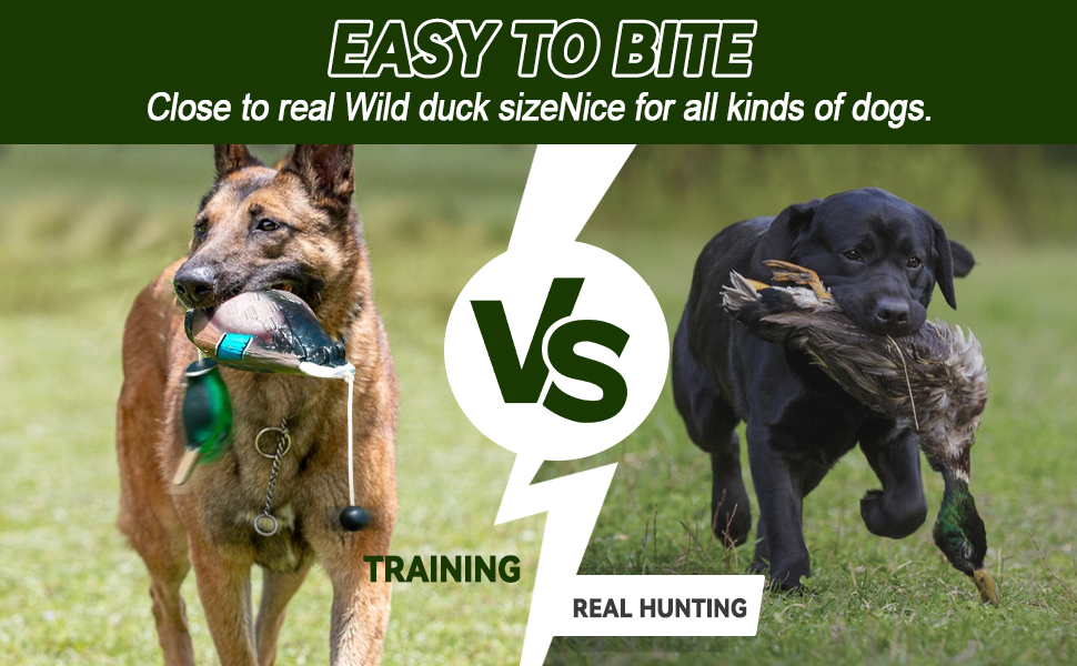 Dog Training Dummies