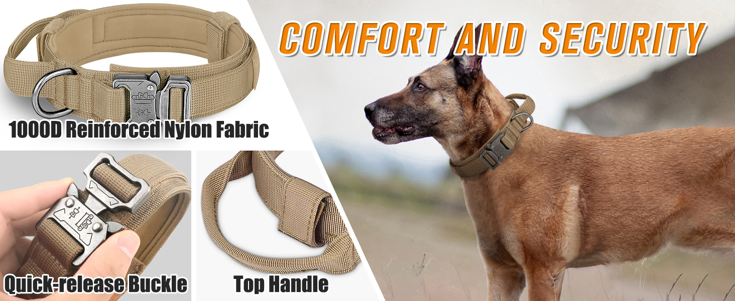 dog collar
