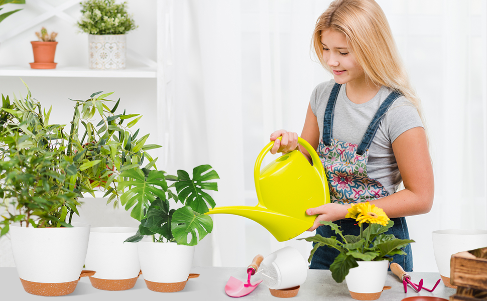 plant pot