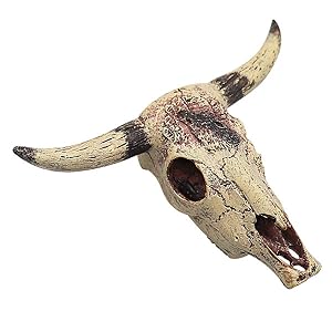 Bearded Dragon Tank Decor