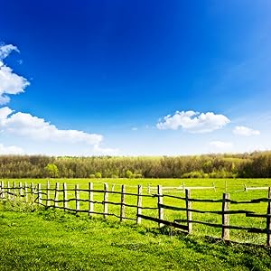 Emu Joy emu oil lip balm moisturizers dry cracked lips skin care products chapped lips treatment