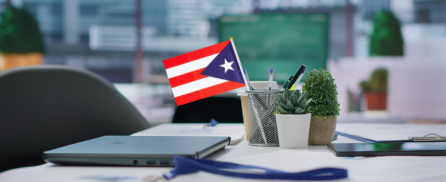 Puerto Rico Flag Small Puerto Rican Flag 12 Pack Mini Hand