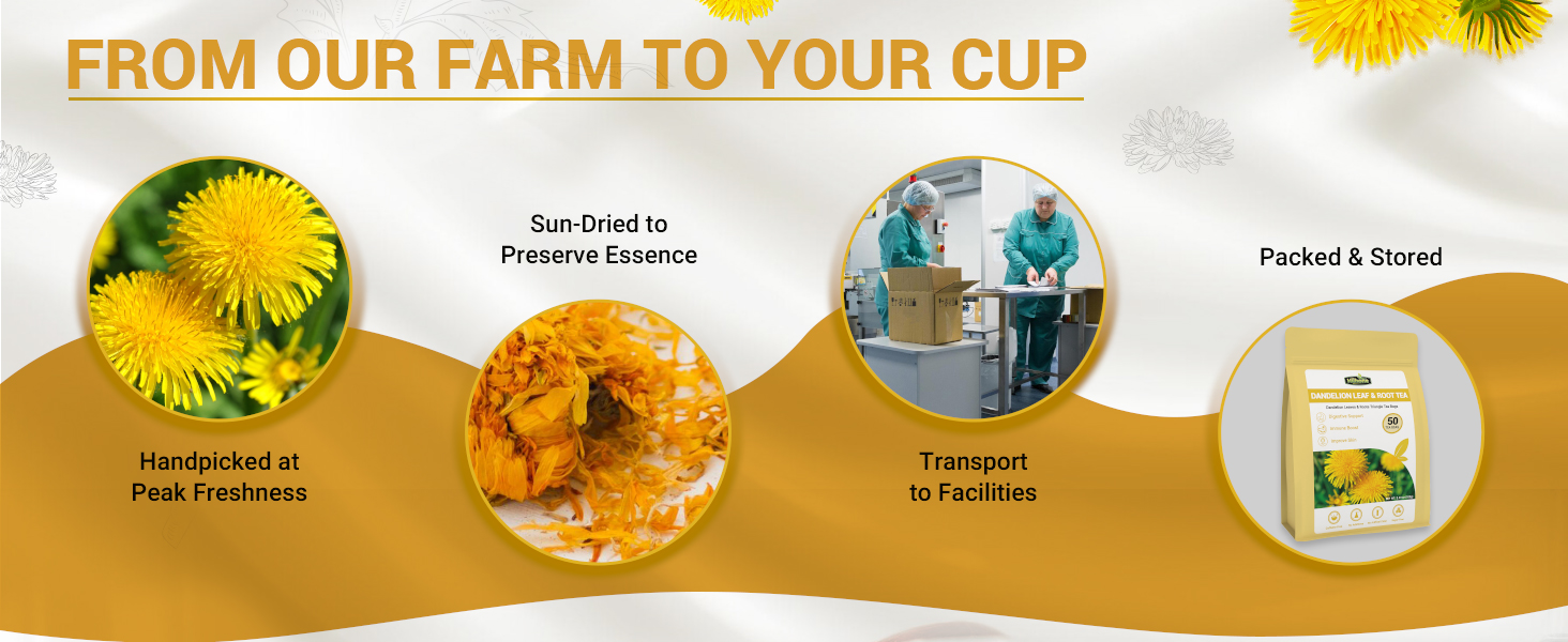 farm to cup