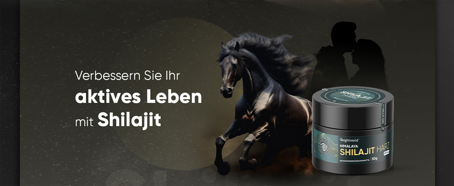Die Fulvosäure in Shilajit Harz verbessert das Denken Lernen Verstehen Begründen