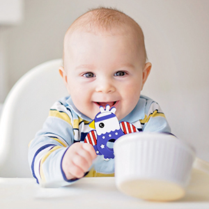 4th of july baby teething toy