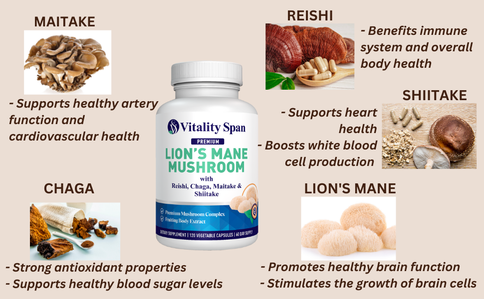 lions mane ingredients