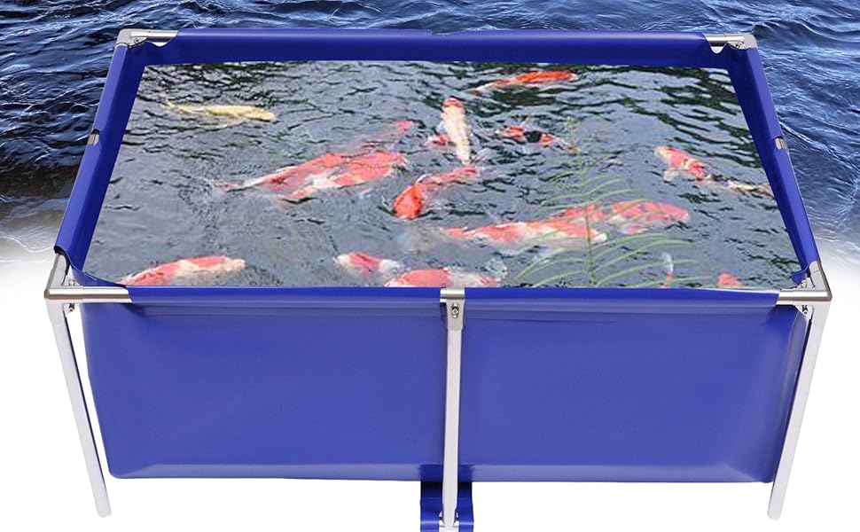 above ground pond above ground fish pond