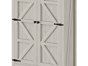 Barn Doors & Metal Handle