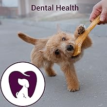 Bowlers Nutrimax Dry Dog Food, Dry Puppy Food, Promotes Brain & Vision Development, Dental Health