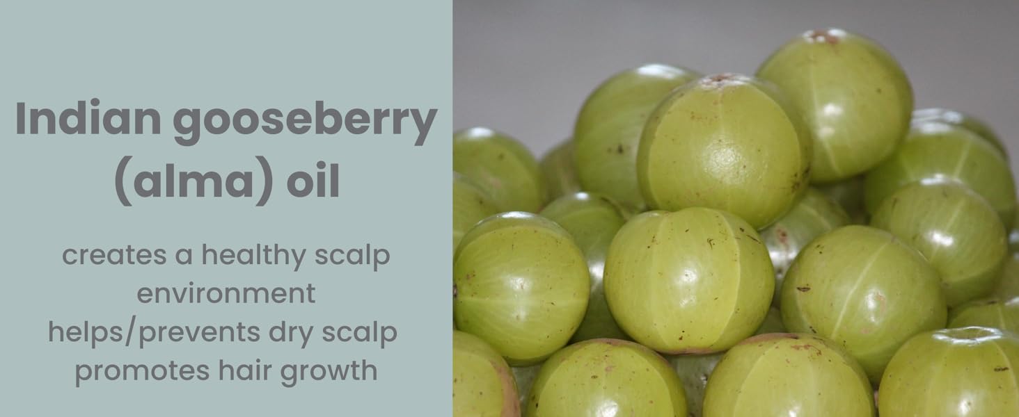 Indian gooseberry purifying shampoo alma oil health scalp healthy hair hair growth