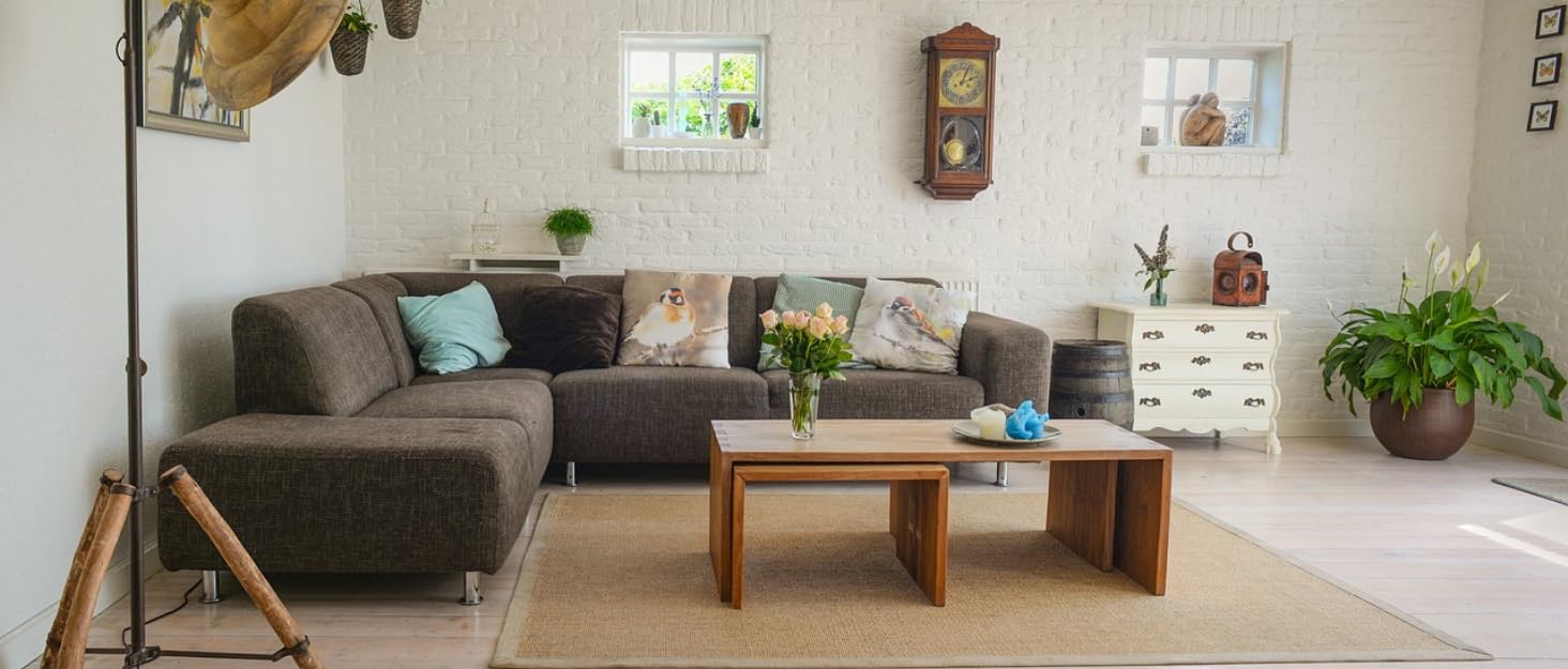 Microphone Isolation Shield