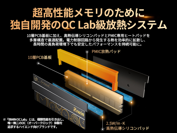 Biwin DW100 DDR5 6000MT/s16GB×2枚CL28 BIWIN DW100 RGB DDR5 RAM Memory 32GB(2x16GB) 6000MHz, CL28