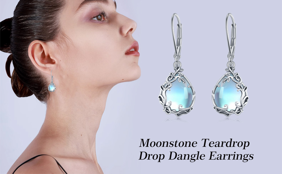 danle earrings