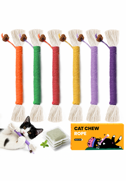 kitten chew rope