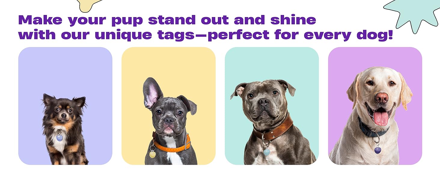strong roam tracker placas para perros personalizados