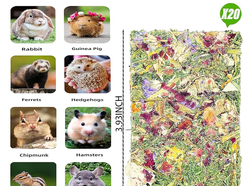 Suitable for small animals