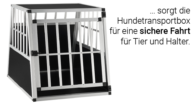 Transport Box Auto Tier Hund Sicherheit befördern Reisen Autofahren