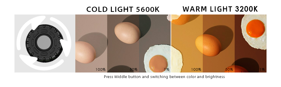 portable video light