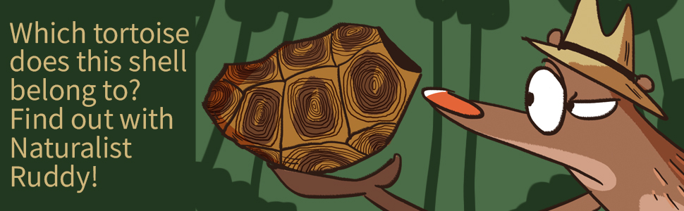 Which tortoise does this shell belong to?