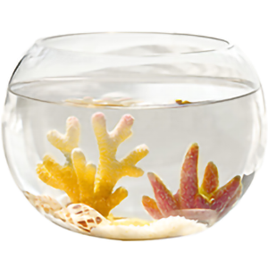 Aquarium Glass Fish Bowl 