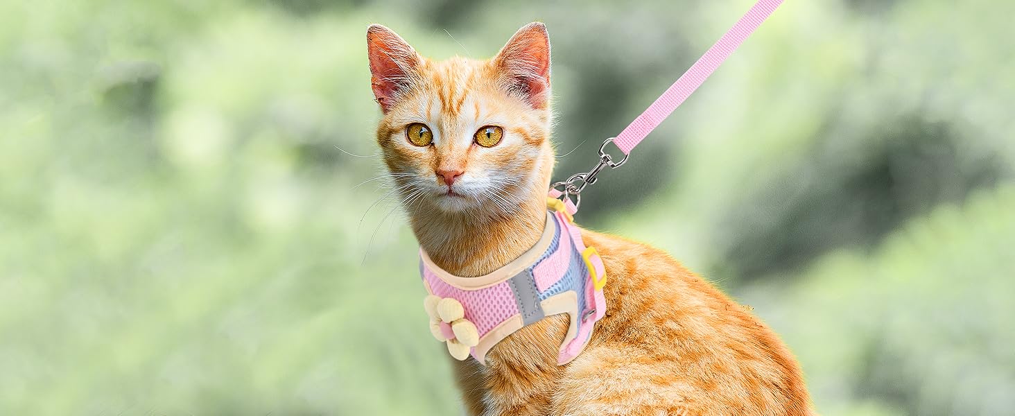 cat harness
