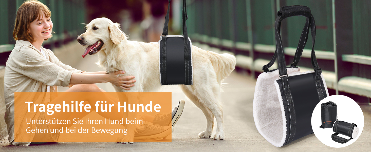 treppenhilfe für hunde
