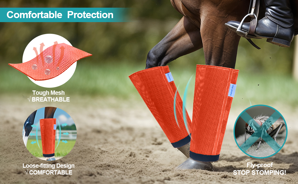 fly boots for mini donkey rugged ride fly boots shoo fly horse boots flying shoes shoe fly leggings