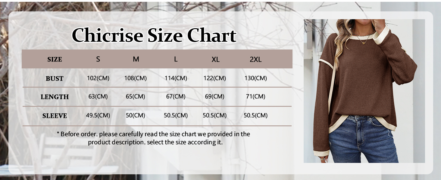 Chicrise Sweatshirt Damen Langarm Rundhals Langarmshirt Elegant Farbbloecke Oversized Warm Oberteile Basic LässigComfort E619f672 D11a 4245 B5c3 60e949b57a86. CR0,0,1464,600 PT0 SX1464 V1