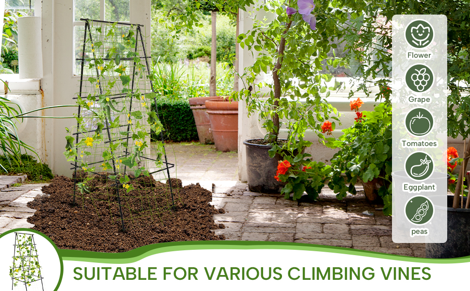 Garden Trellis for Climbing Plants Outdoor