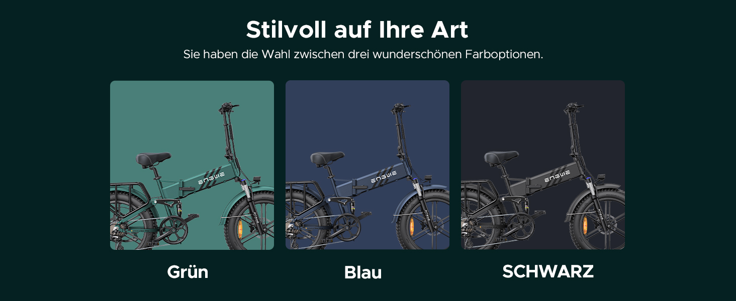 e fahrrad herren