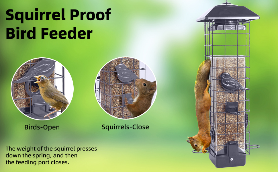Squirrel Proof Bird Feeder