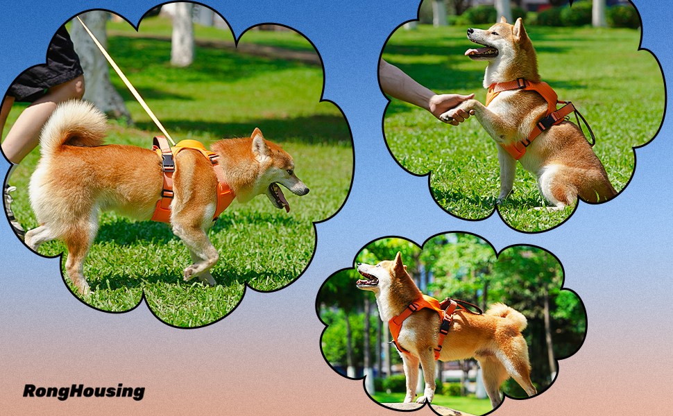 Dog Harness and Retractable Leash No Pull Dog Harness Medium Sized Dog. Escape Proof Dog Dog Harness and Retractable Leash No Pull Dog Harness Medium Sized Dog. Escape Proof Dog
