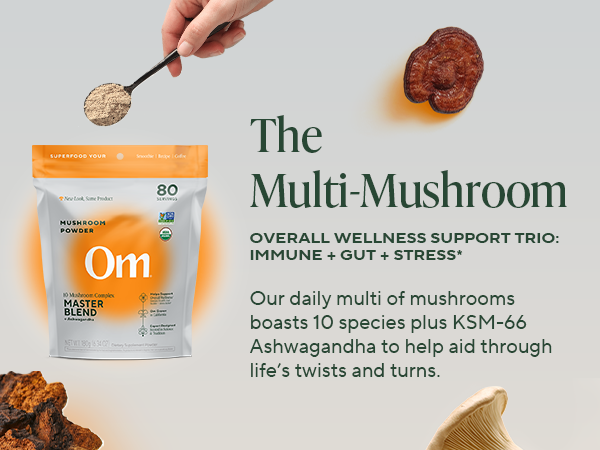 The multi-mushroom supports overall wellness. It's like your daily multi, but make it mushrooms. 
