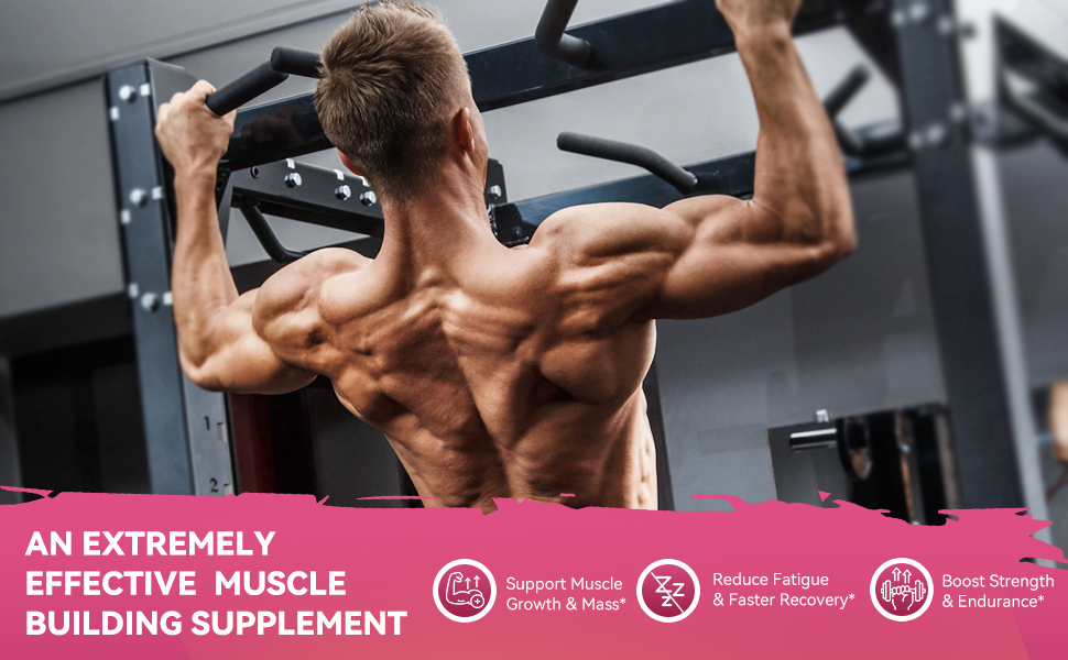 creatine for men