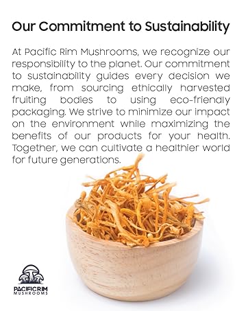 chaga turkey tail lions mane cordyceps reishi mushrooms medicinal