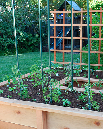 garden stakes