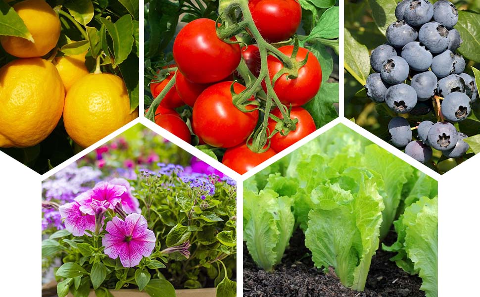 6 Pack Fruit Tree Netting with Drawstring Kailund, 2 Size