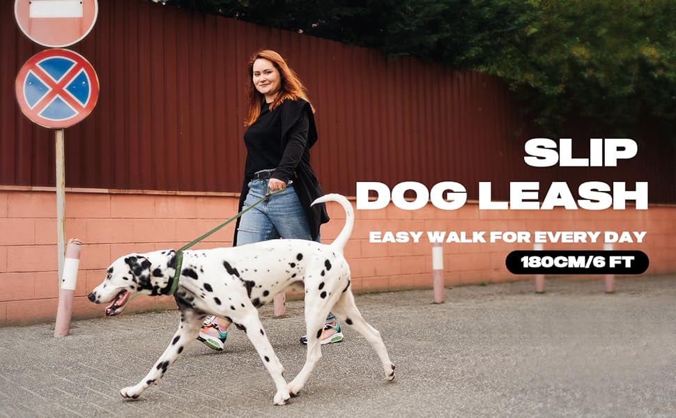 Fida Slip Rope Dog Lead 9 slip lead