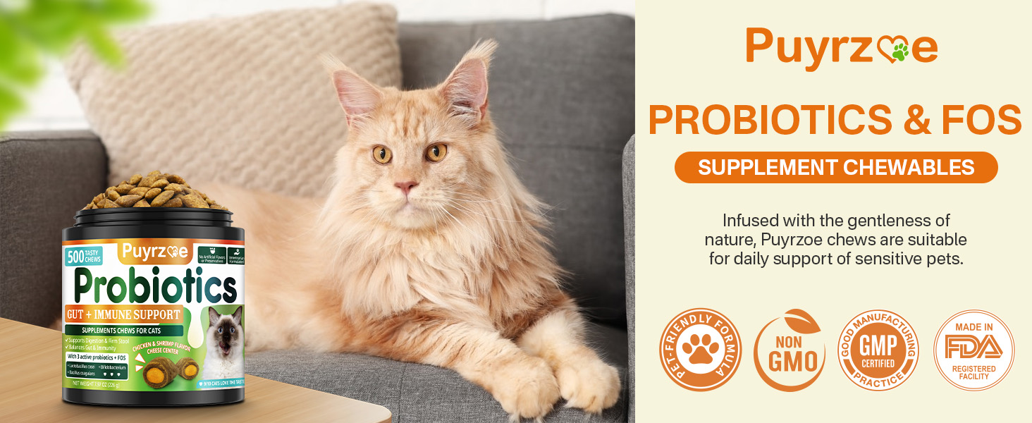 cat probiotic