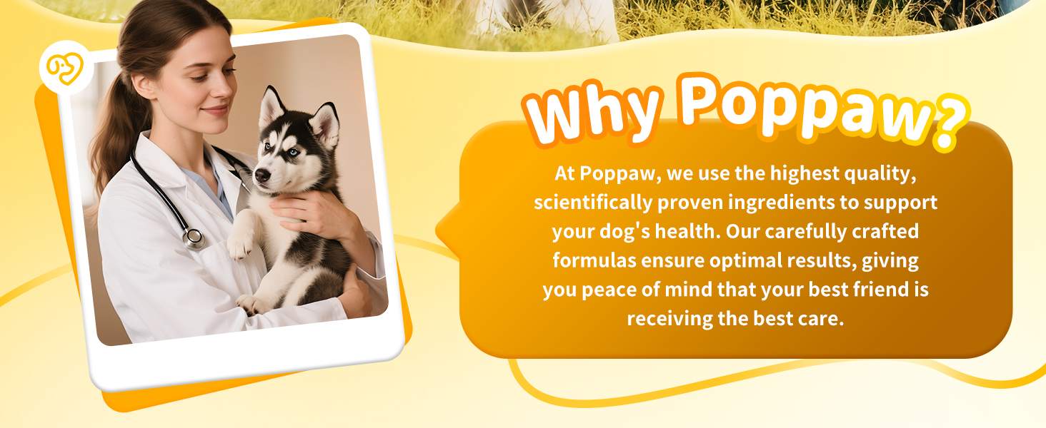 Calming Chews for Dog