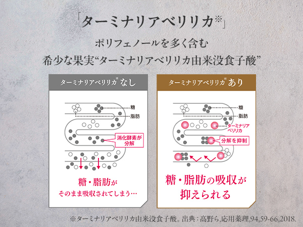 Amazon.co.jp: ターミナリアファースト 4 (機能性表示食品 / 120