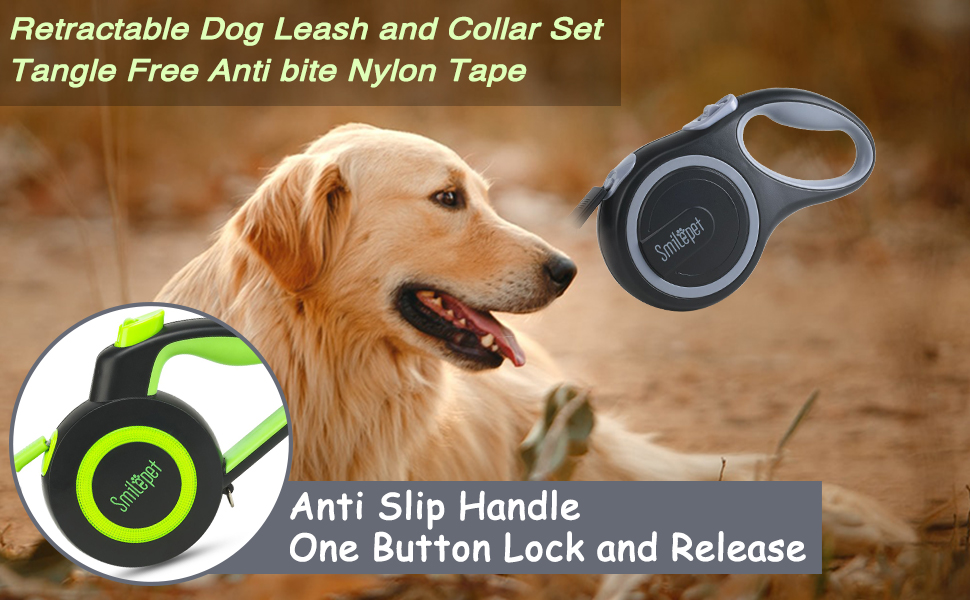 Retractable Dog Leash and Collar Set, 10ft Pet Walking