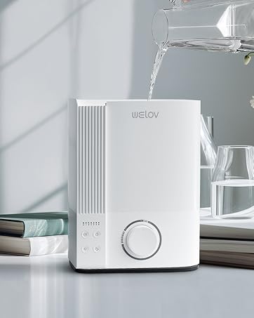 Humidifier for Bedroom