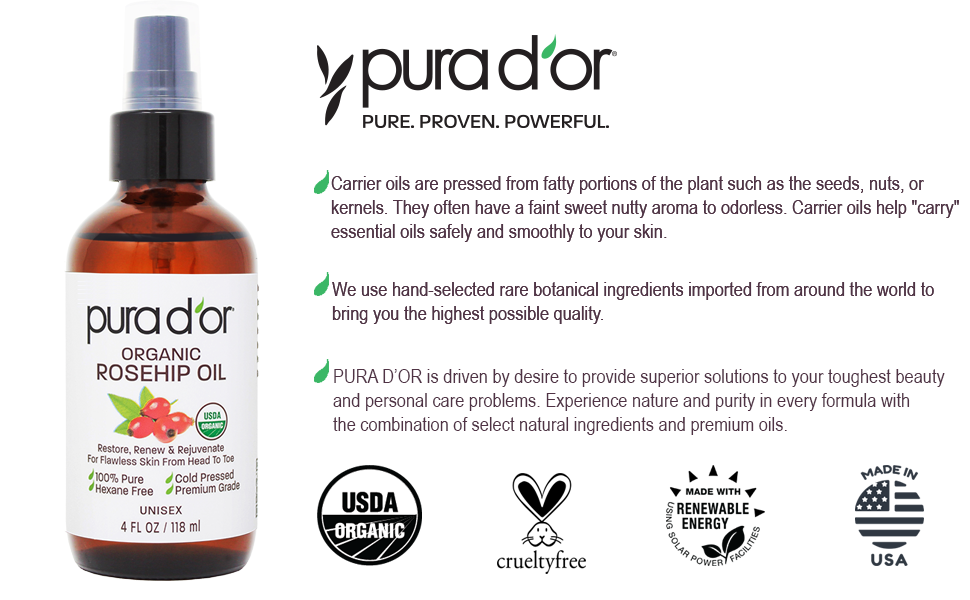 rose hip seed oil oil