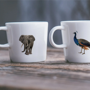 Safari Animals for kids party favors