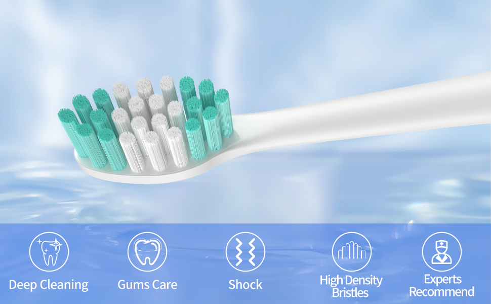 Replacement Toothbrush Heads for Aquasonic Duo Pro and