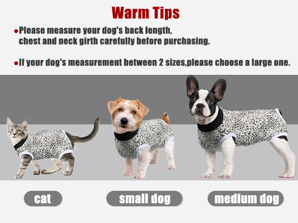 Amazon.com: FEimaX Dog Surgery Recovery Suit Female and Male