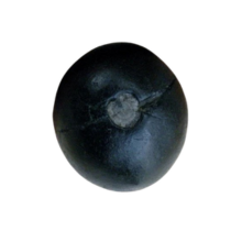 Small manufacture image 8