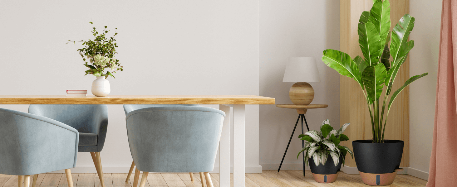 large self watering pots for indoor plants