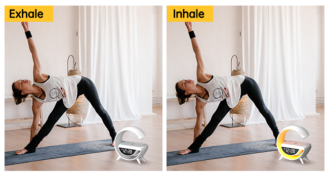 Large manufacture image 5